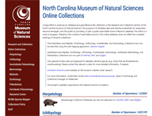 Tablet Screenshot of collections.naturalsciences.org